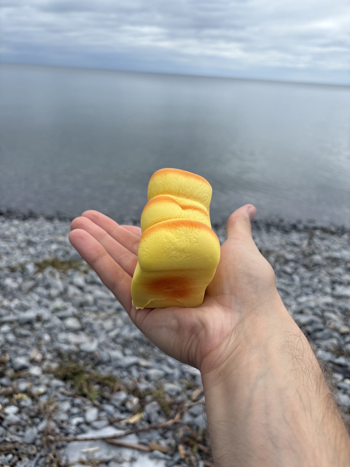 Loaf of Bread Squishy!