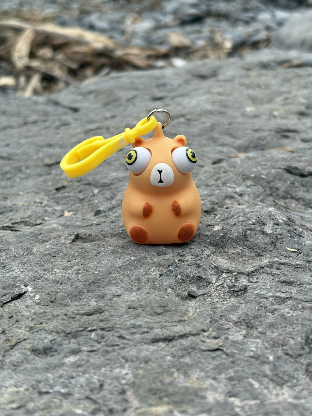 Cute Capybara Key Chain! Take this Capybara with you Whenever!