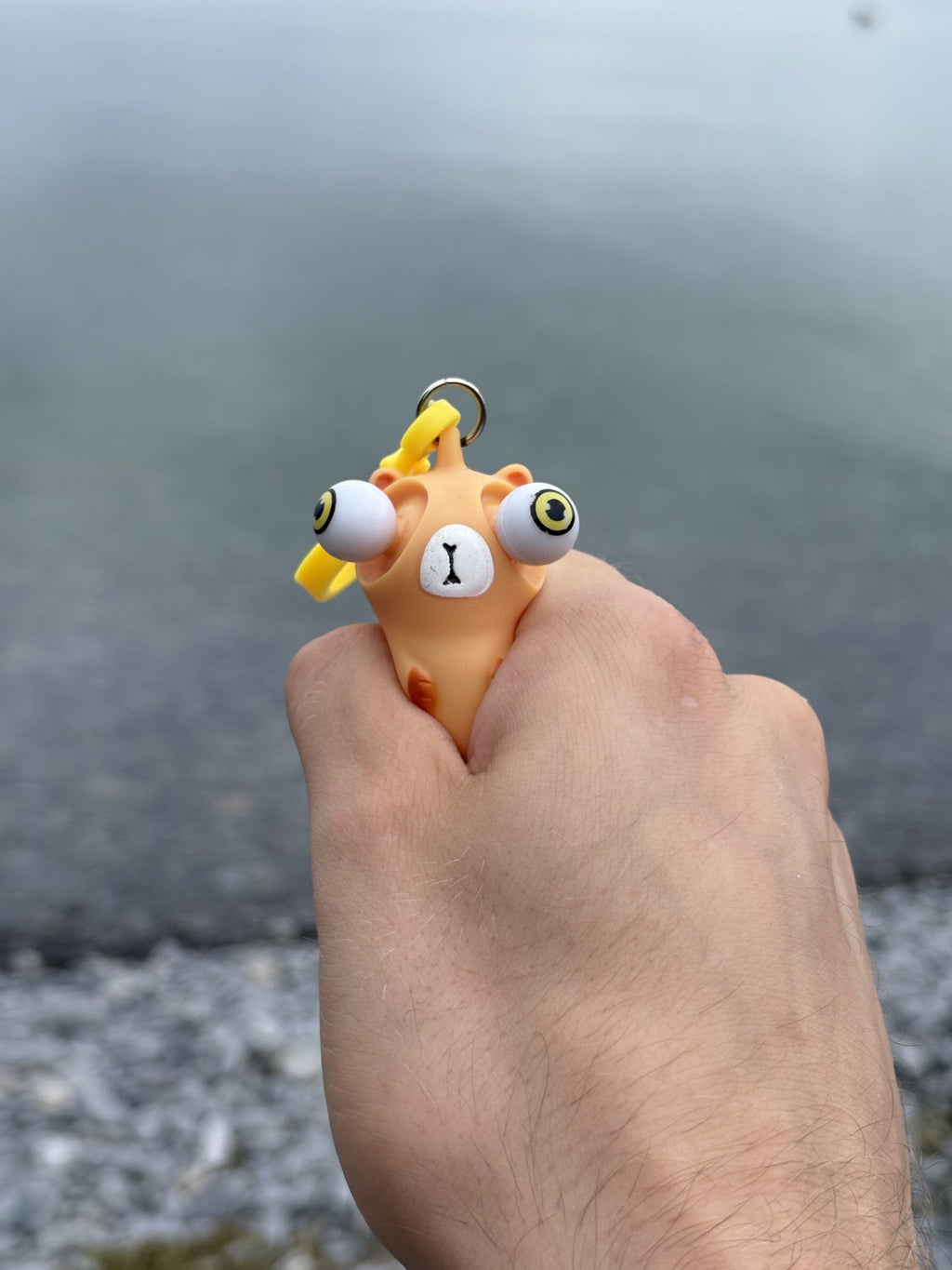 Cute Capybara Key Chain! Take this Capybara with you Whenever!