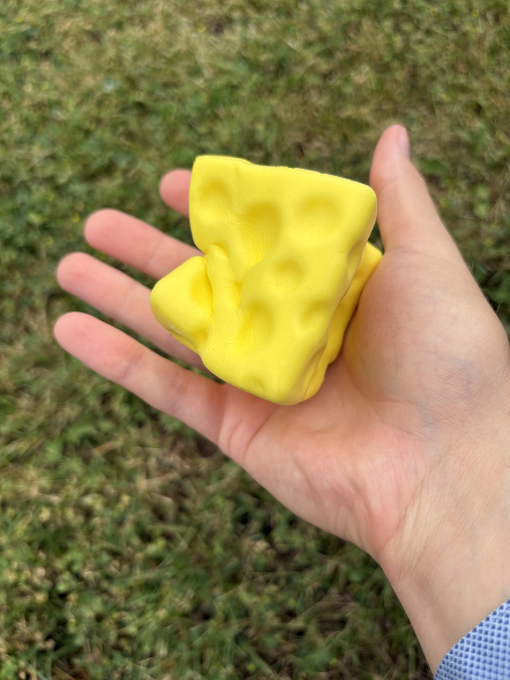 A hand holding a bright yellow cheese-squishy against a blurred green grass background.