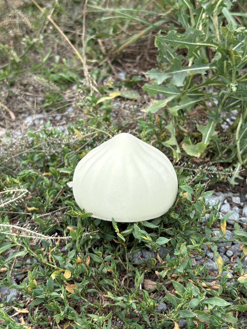 Dumpling Squishy! Plain Dumpling!