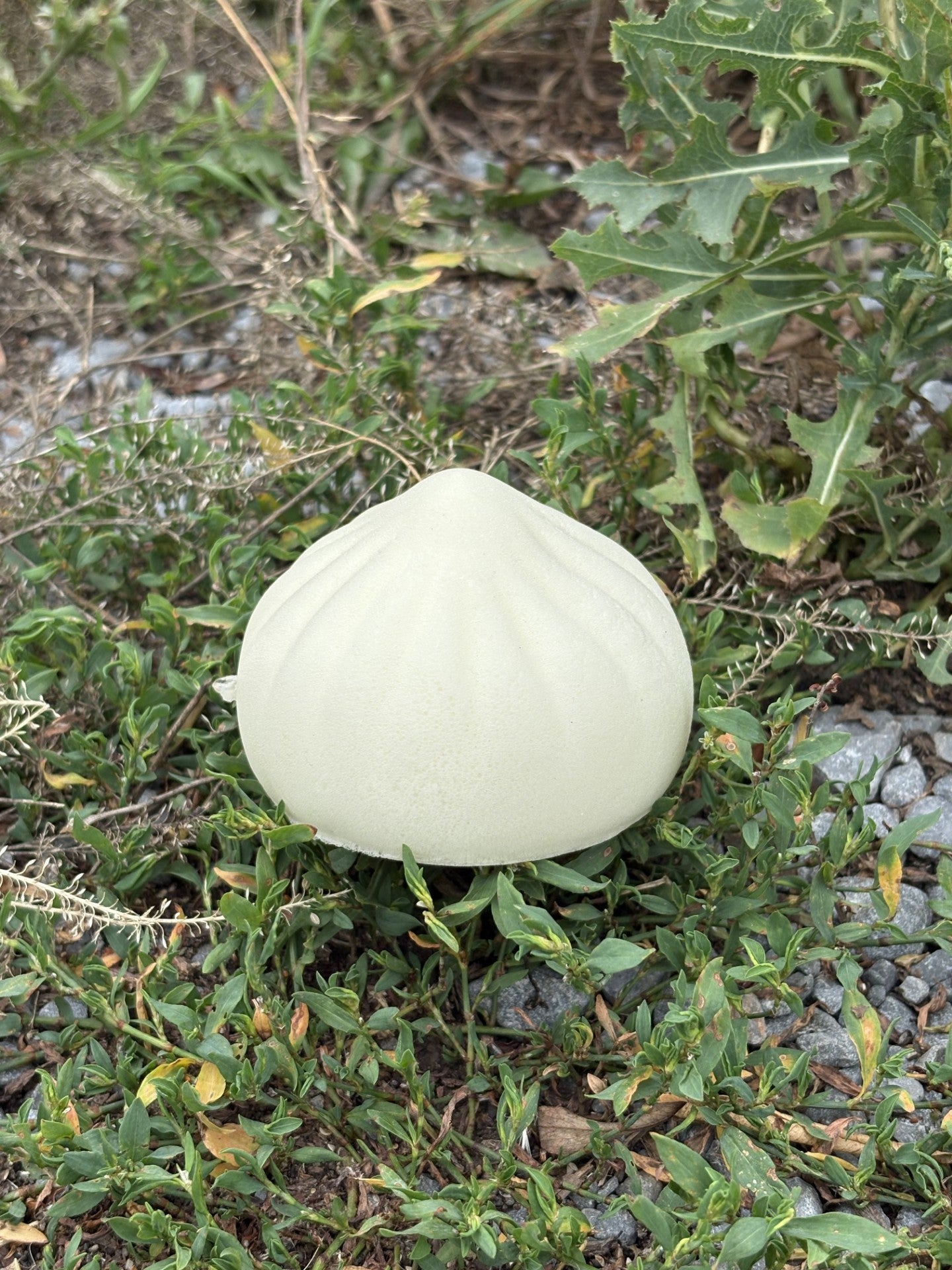 Dumpling Squishy! Plain Dumpling!