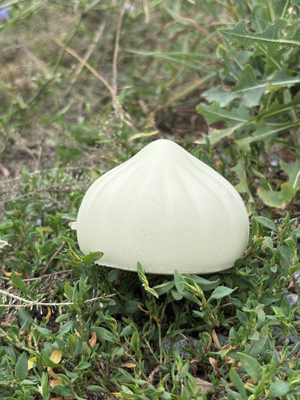 Dumpling Squishy! Plain Dumpling!