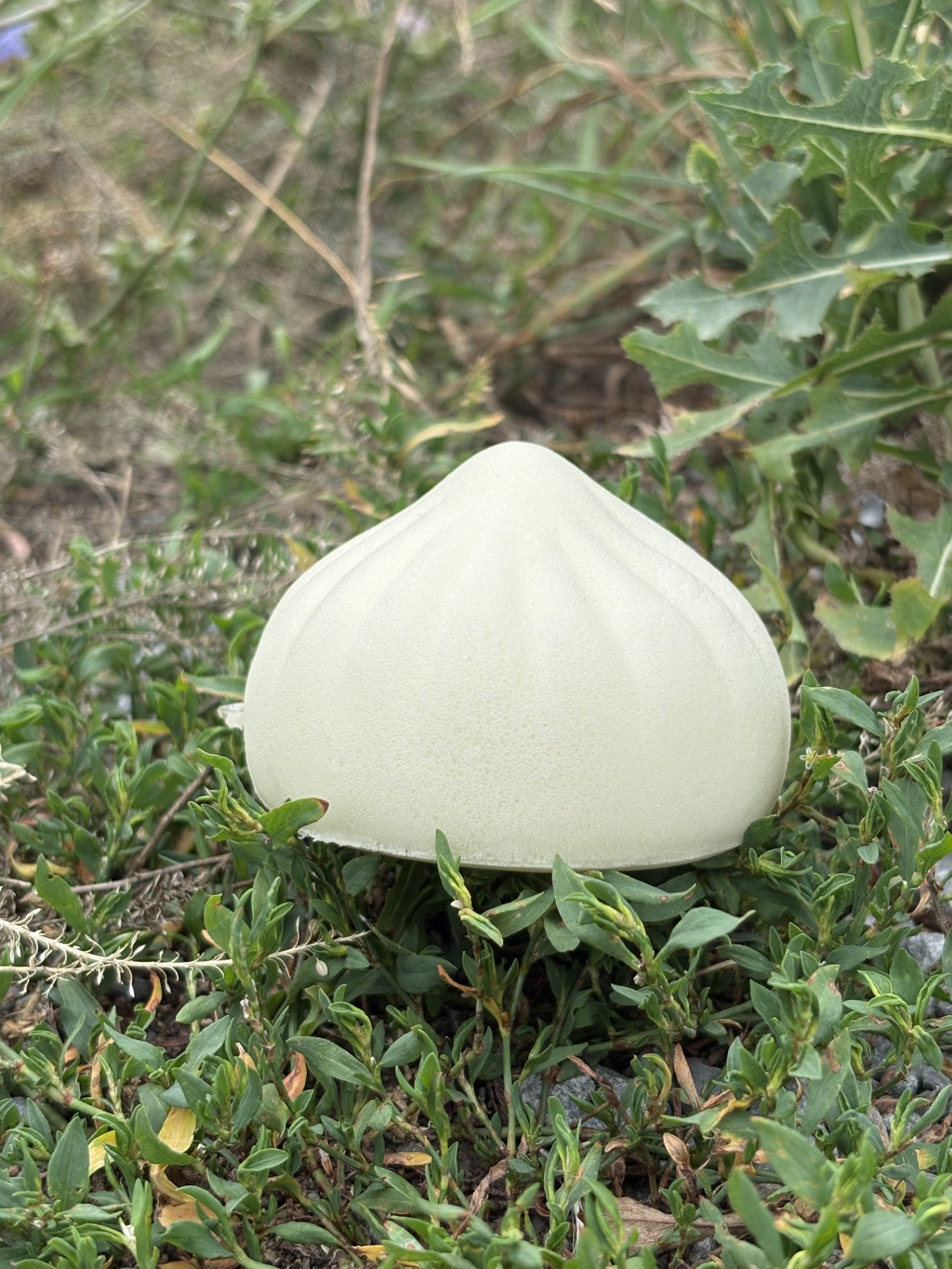 Dumpling Squishy! Plain Dumpling!