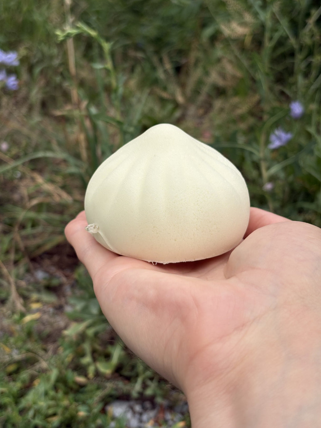 Dumpling Squishy! Plain Dumpling!