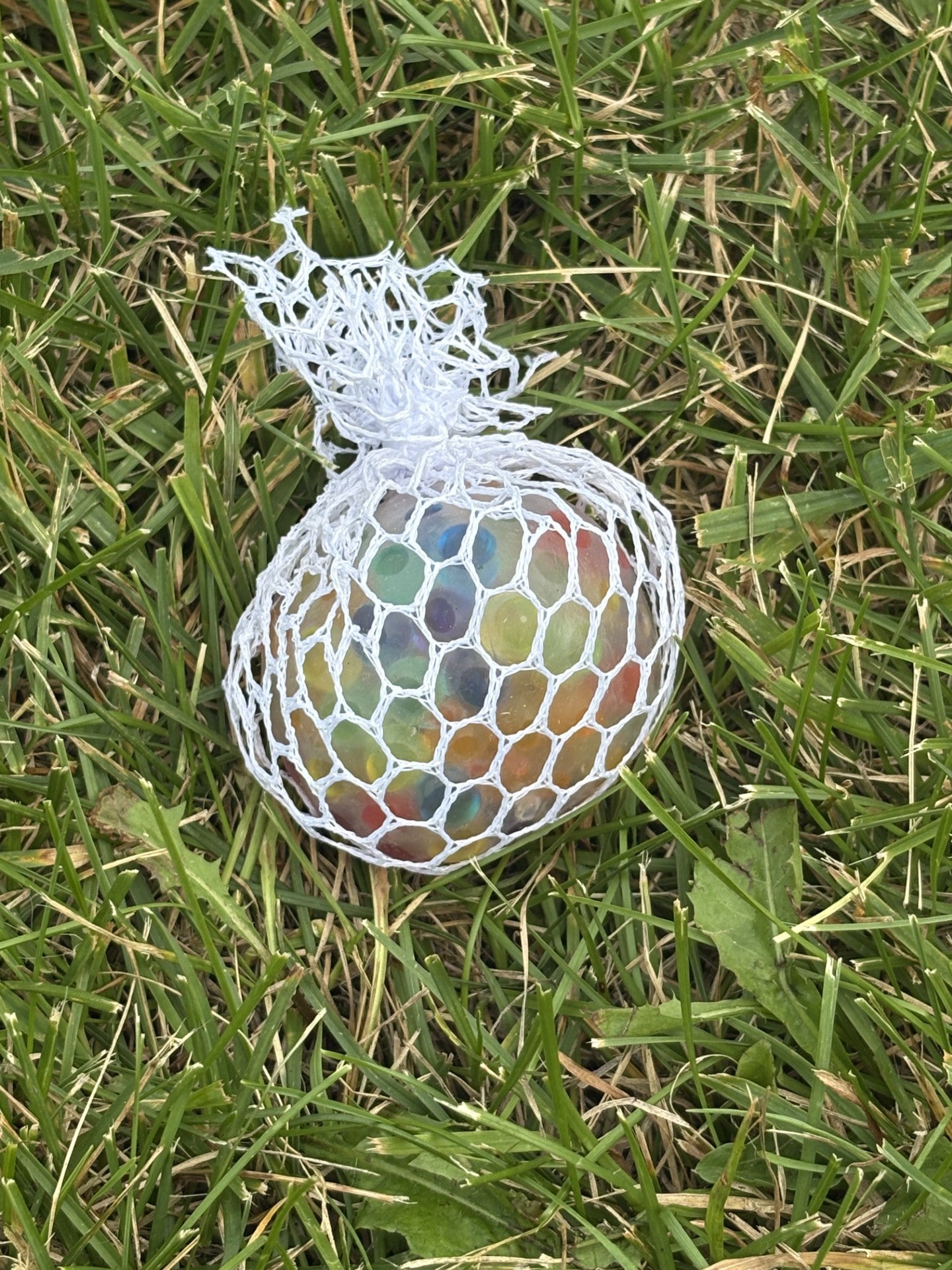 Rainbow Mesh Ball! ROYGGIVE me some of that!