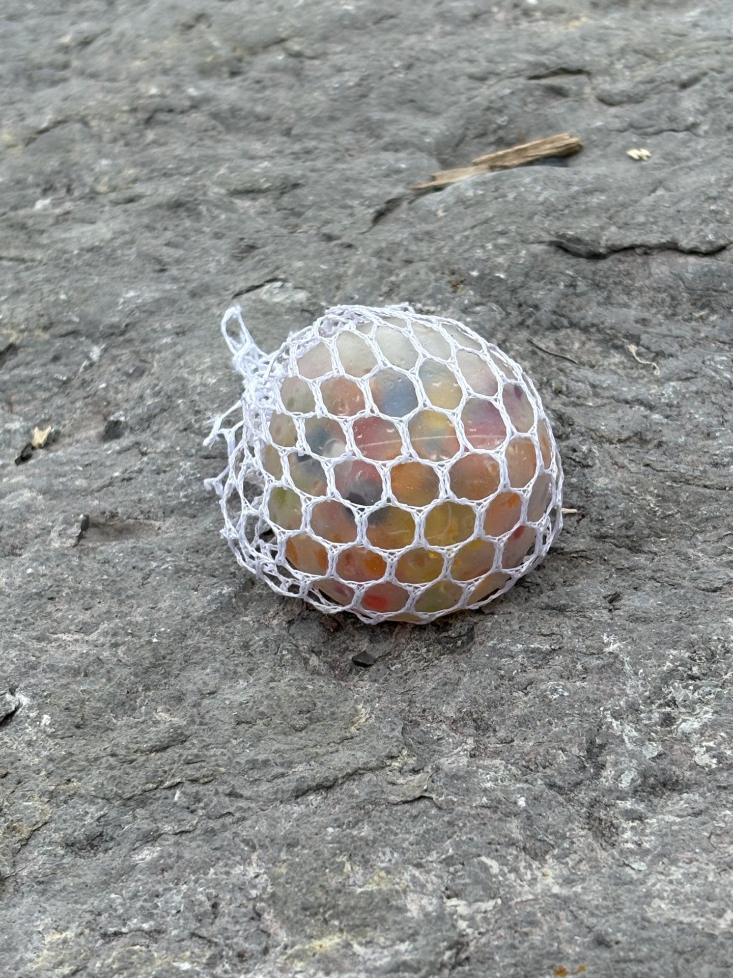 Rainbow Mesh Ball! ROYGGIVE me some of that!