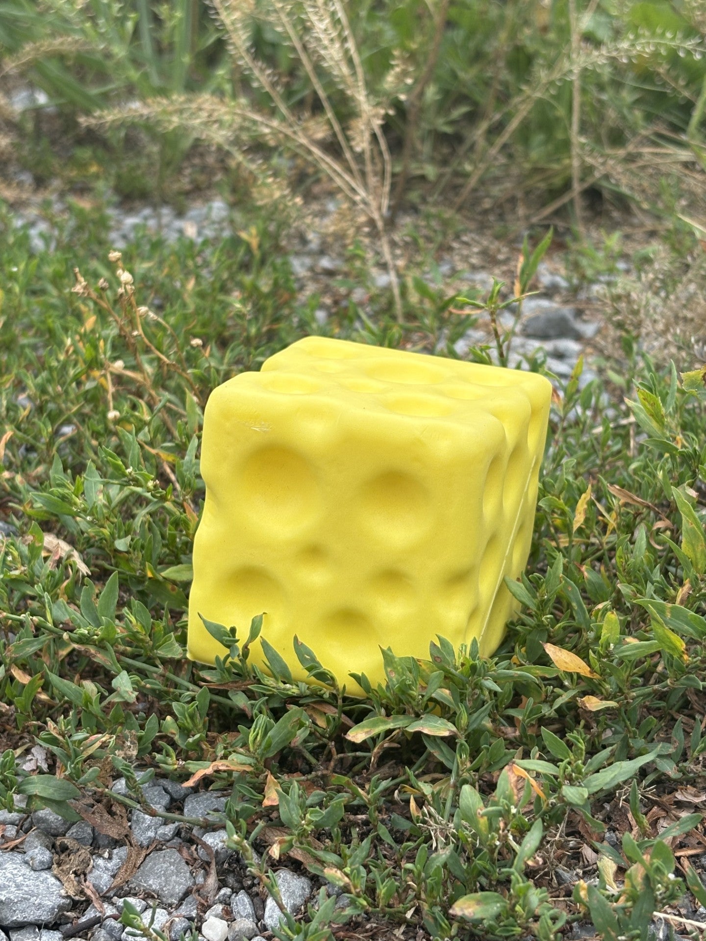 Le Voila! Square Cheese Squishy Toy!