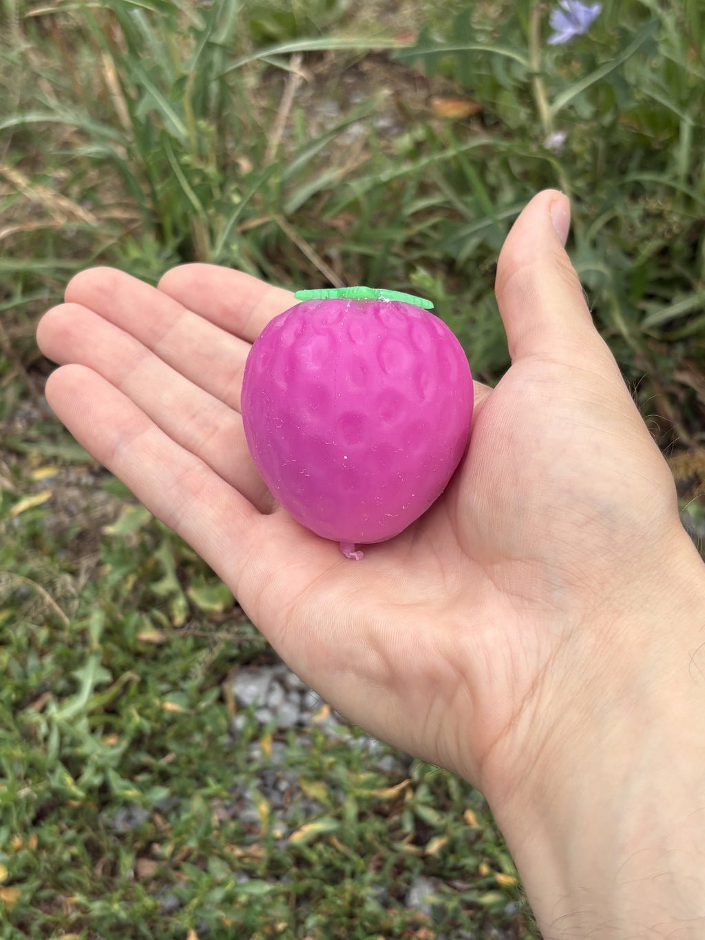 Strawberry Squishy! Colour Changing Magical Strawberry!