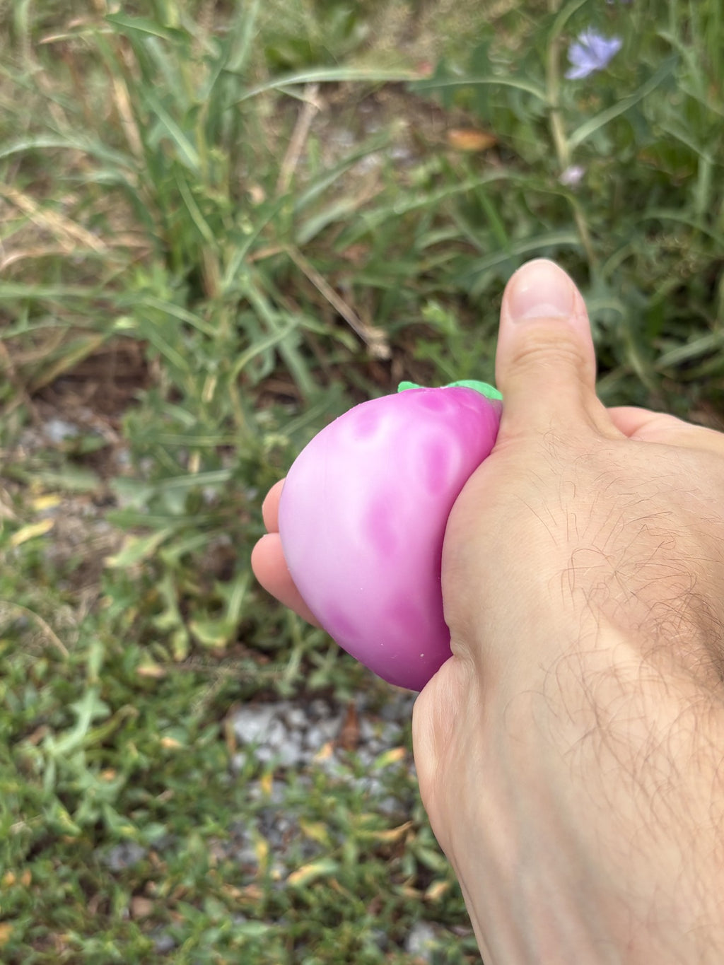 Strawberry Squishy! Colour Changing Magical Strawberry!