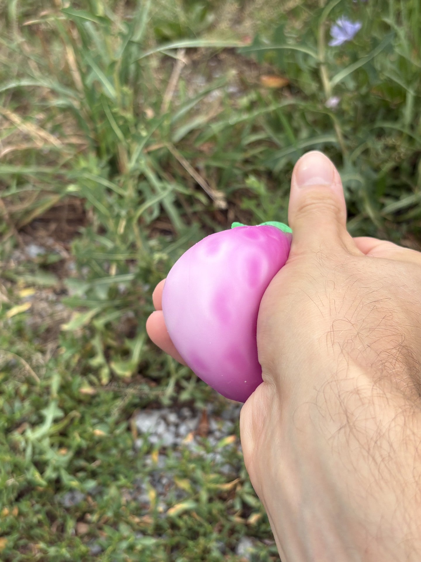 Strawberry Squishy! Colour Changing Magical Strawberry!