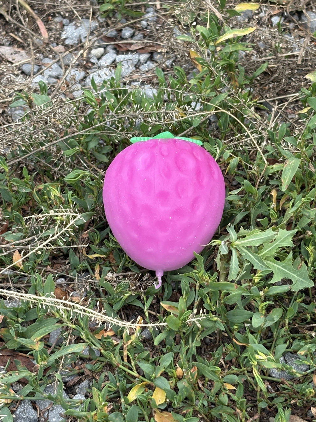 Strawberry Squishy! Colour Changing Magical Strawberry!
