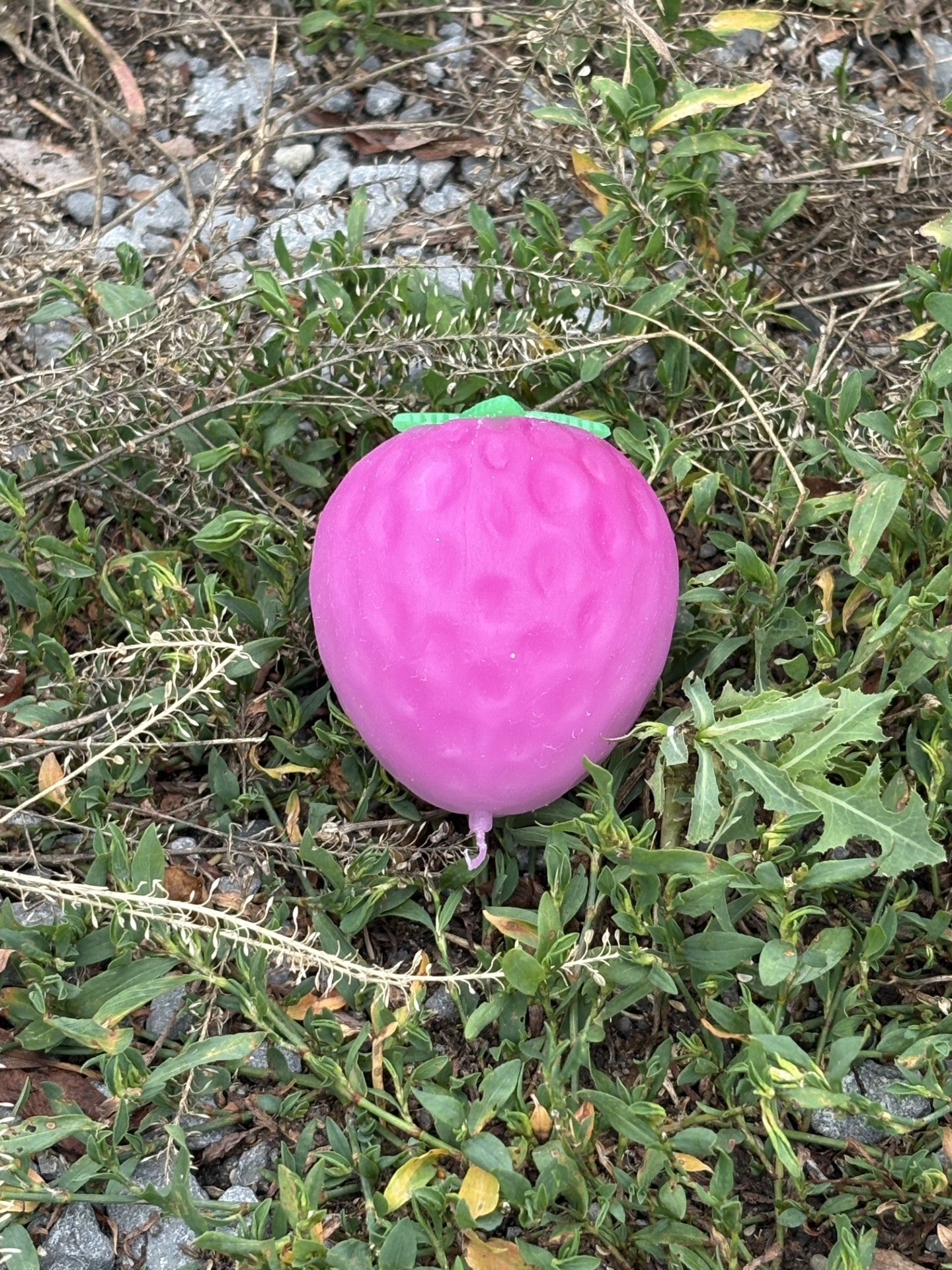 Strawberry Squishy! Colour Changing Magical Strawberry!