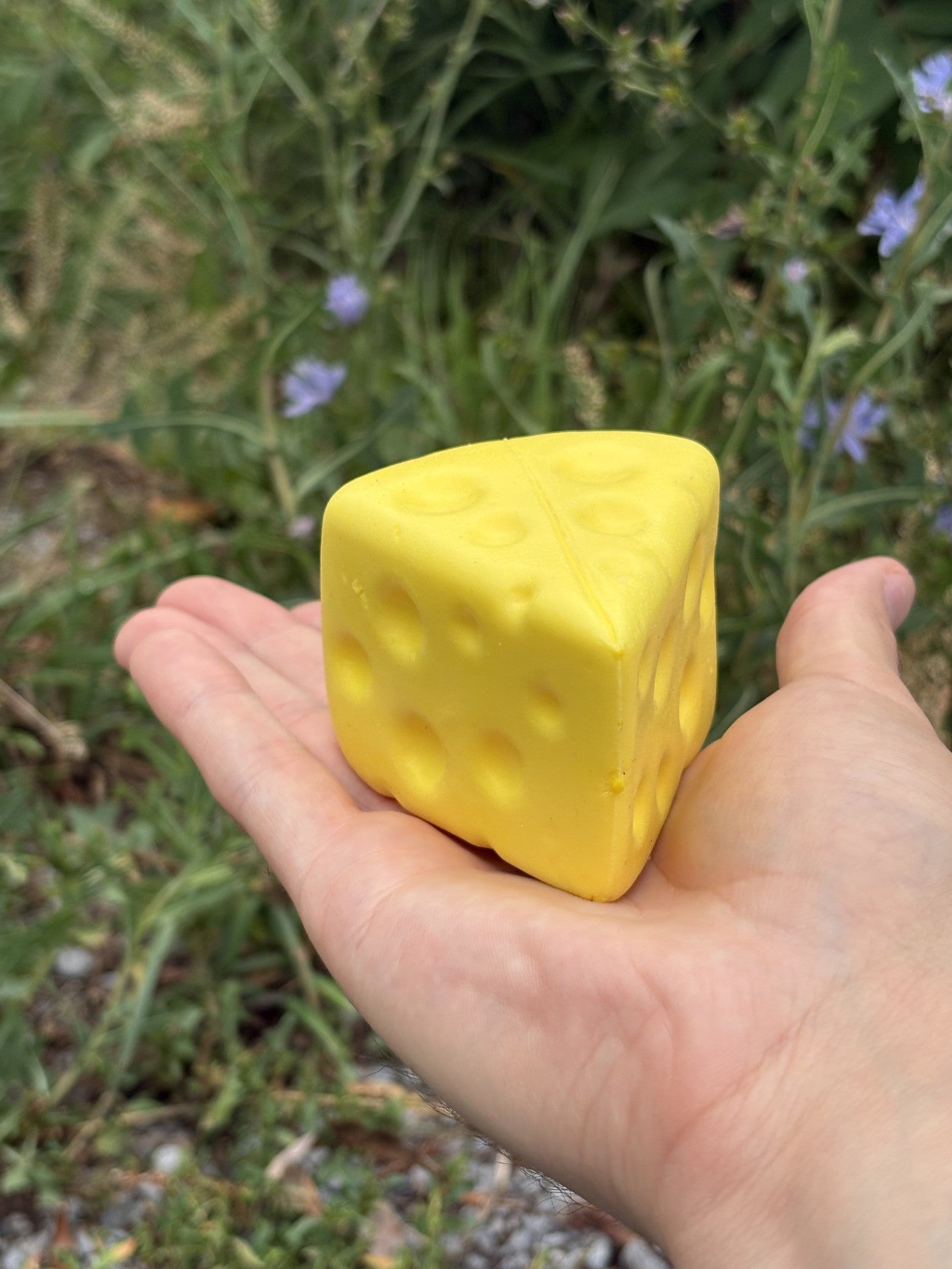 Le Voila! Triangle Cheese Squishy Toy!