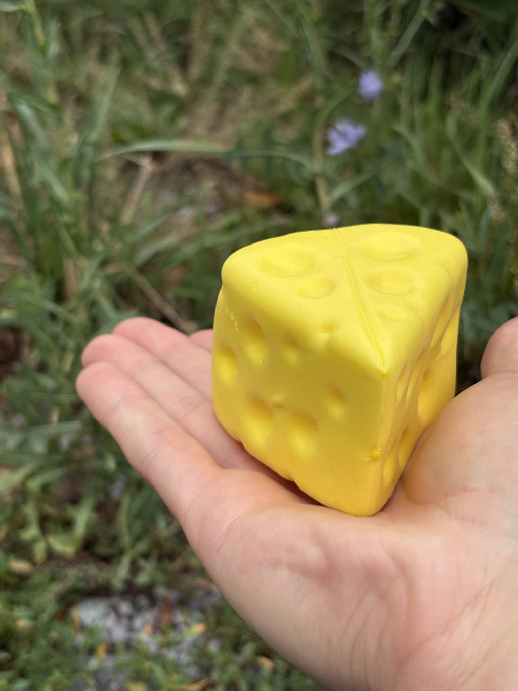 Le Voila! Triangle Cheese Squishy Toy!