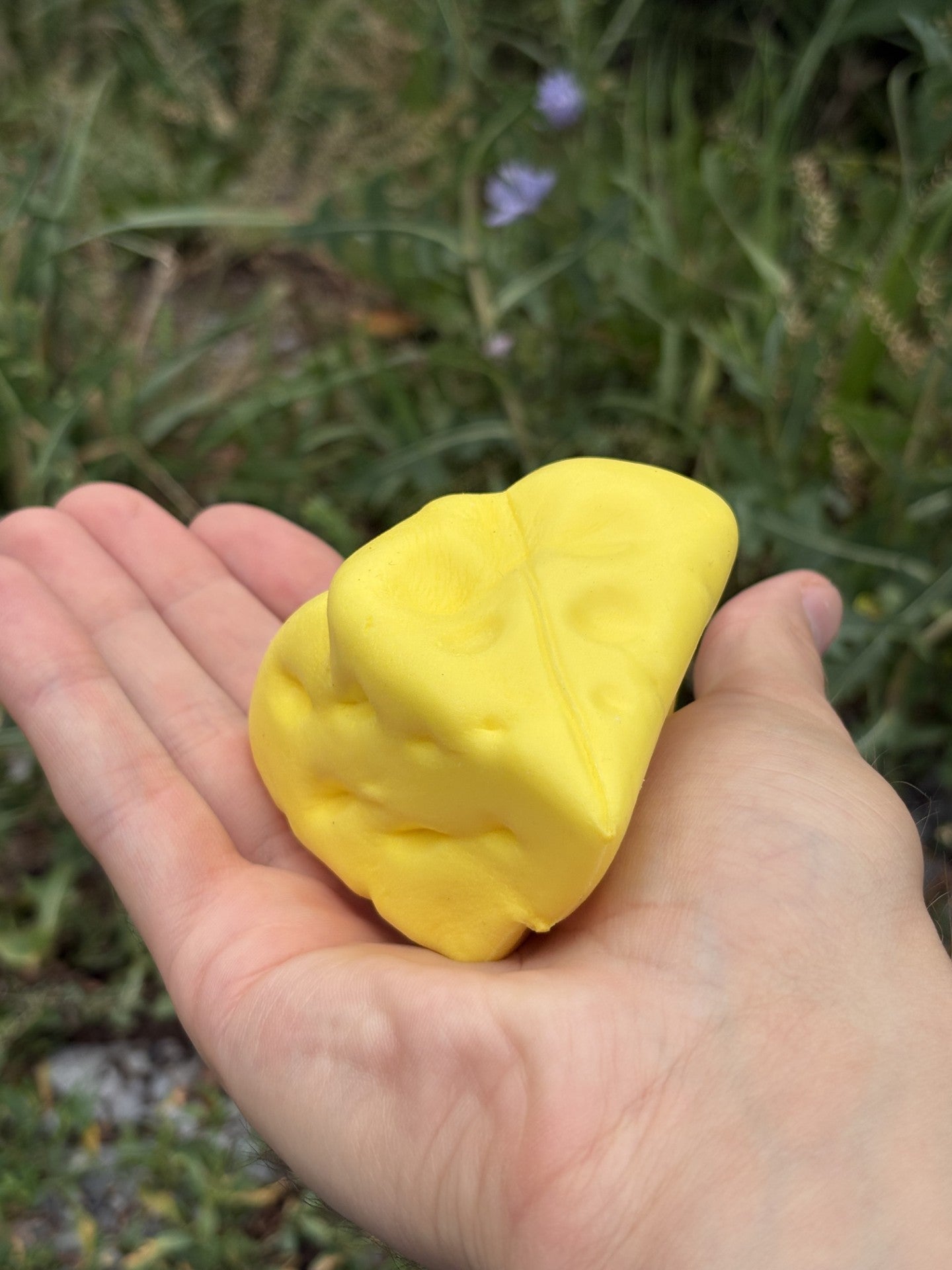 Le Voila! Triangle Cheese Squishy Toy!