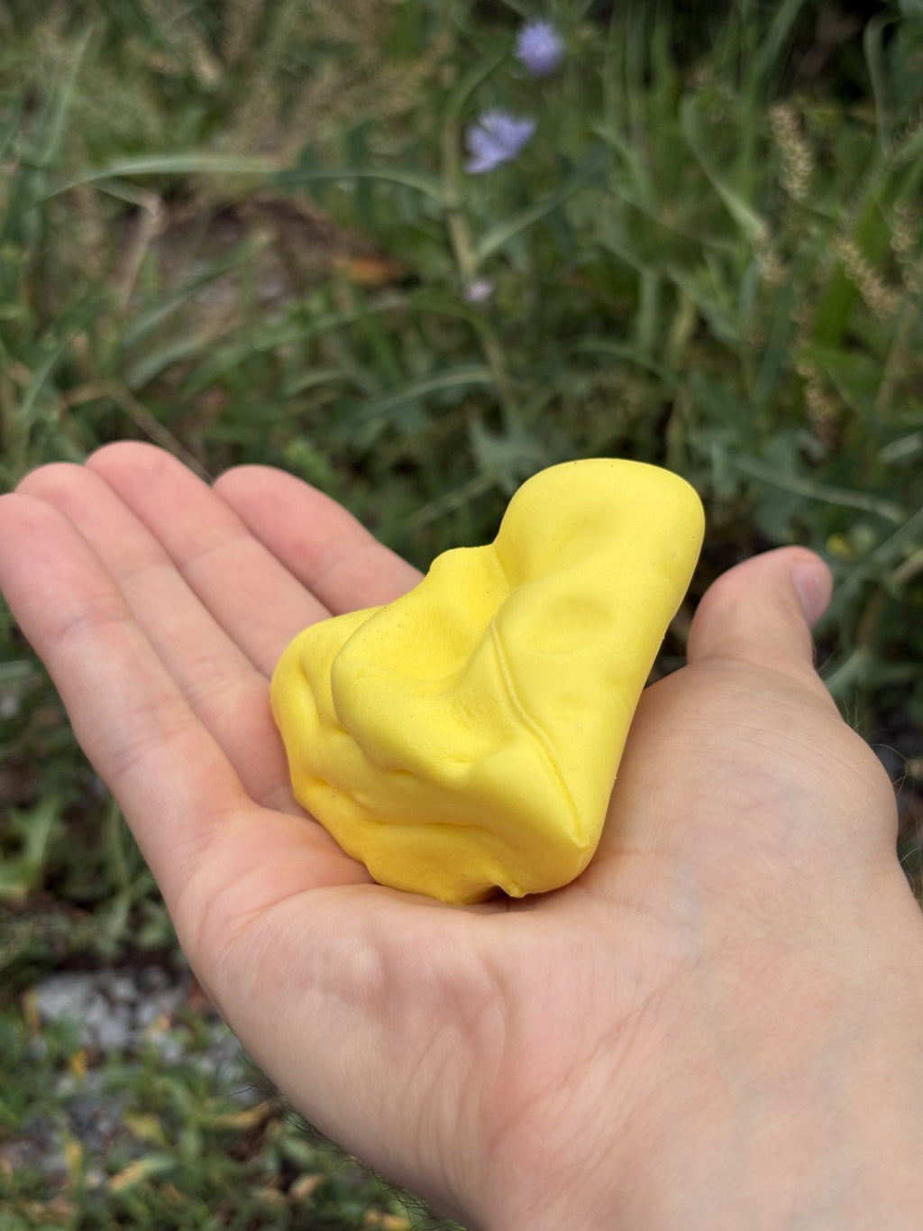 Le Voila! Triangle Cheese Squishy Toy!