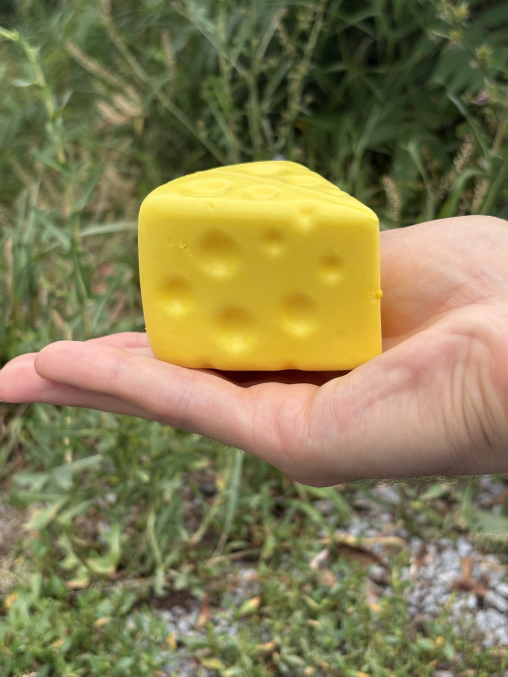 Le Voila! Triangle Cheese Squishy Toy!