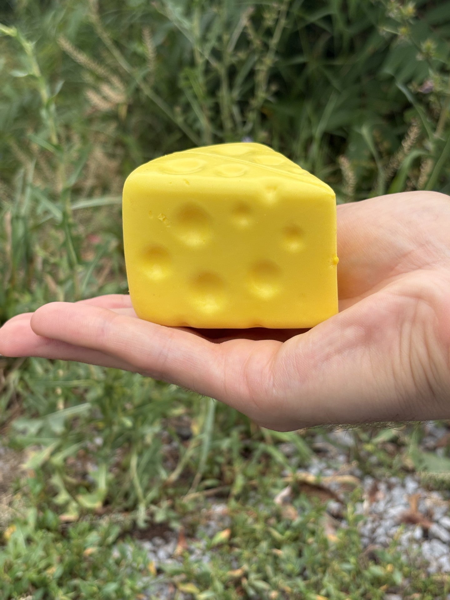 Le Voila! Triangle Cheese Squishy Toy!