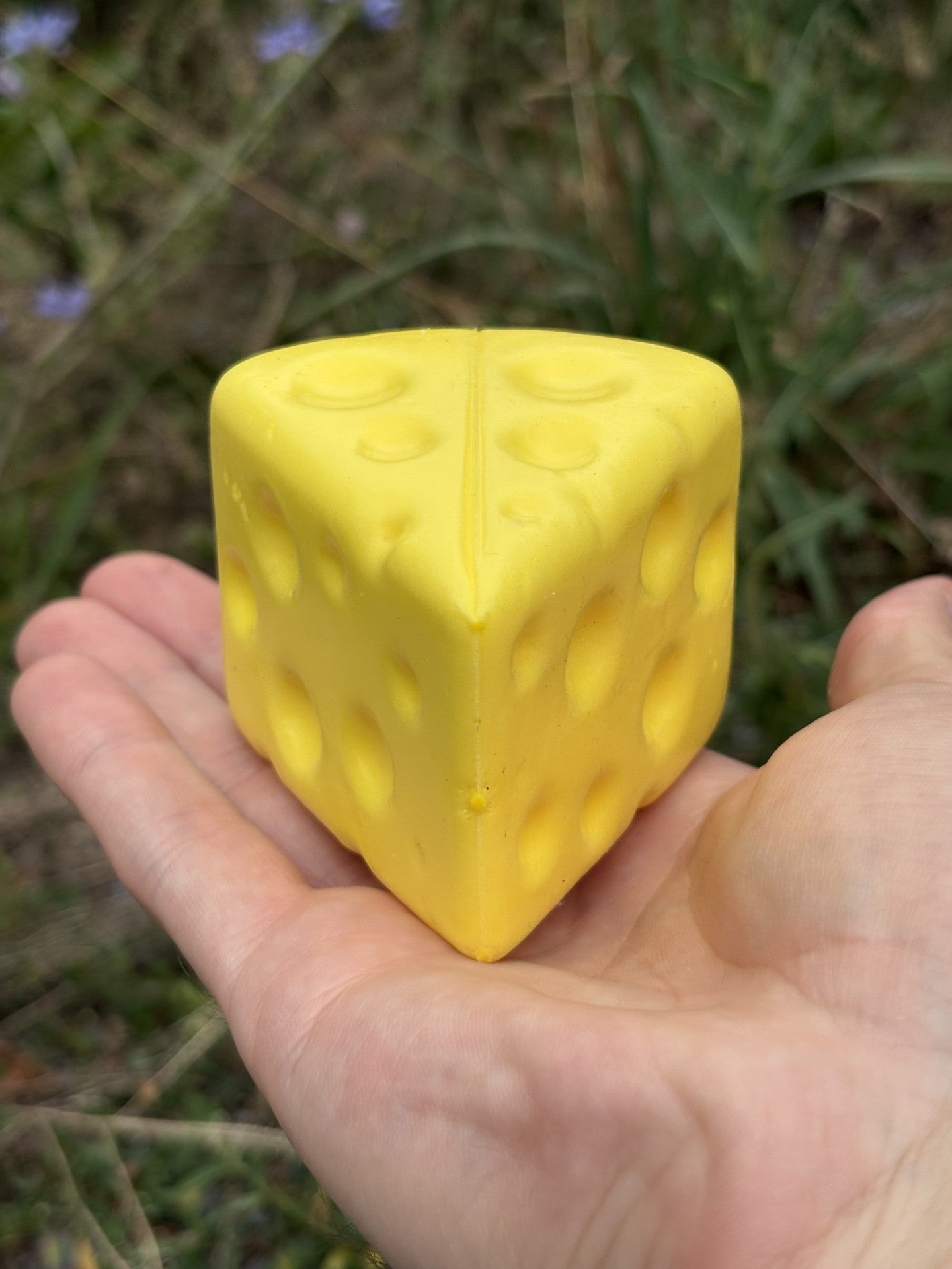 Le Voila! Triangle Cheese Squishy Toy!
